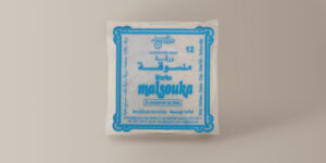 Douze feuilles de Brick Carrées 20 cm